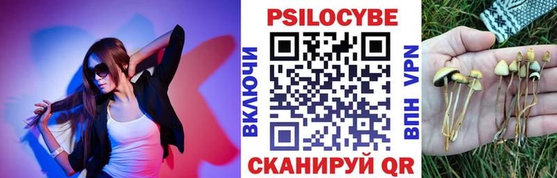 Галлюциногенные грибы Psilocybine cubensis  KRAKEN tor  Богородицк 