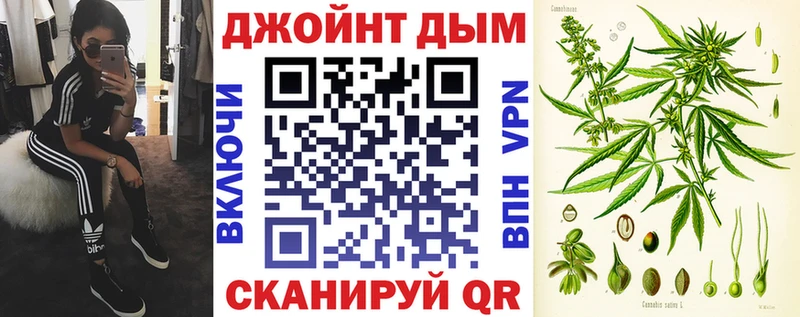 как найти   Богородицк  Каннабис OG Kush 